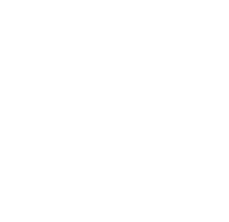 Logo Dream Racer Boats